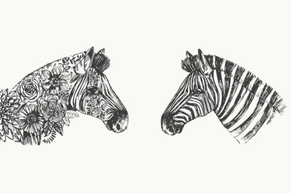 Download Zebra Head - Zebra Collection