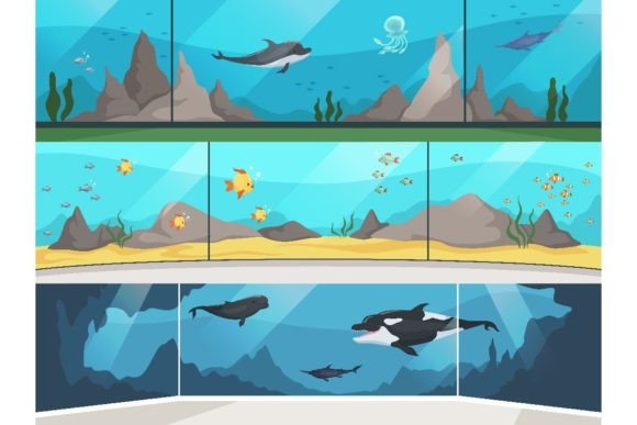 Download Museum Aquarium. Underwater Zoo Children - Child Collection