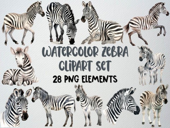 Download Watercolor Zebra Clipart, Baby Zebra Png - Zebra Collection